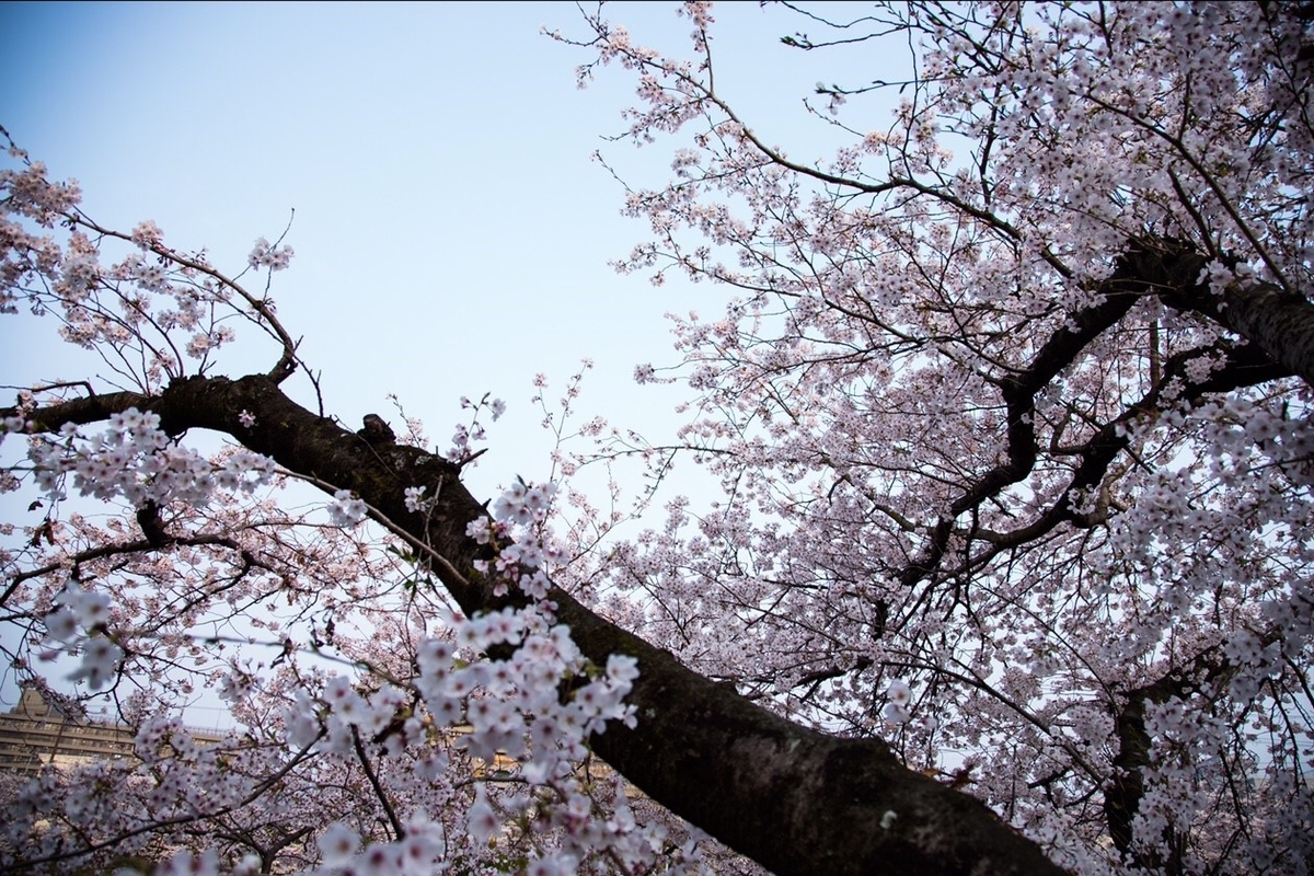 f:id:wordsforu:20190414102852j:plain