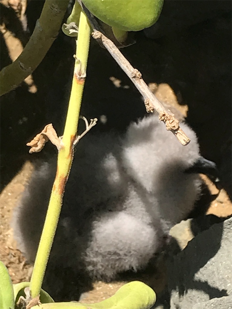 f:id:workingmom-minh:20190828231534j:image