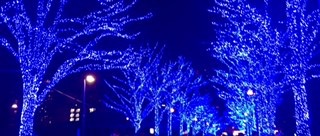 f:id:workingmother:20170103213938j:plain