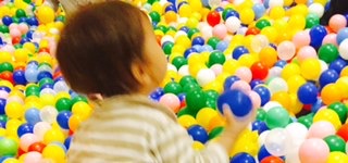 f:id:workingmother:20170112173326j:plain f:id:workingmother:20170112173326j:plain