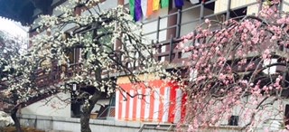 f:id:workingmother:20170205230854j:plain