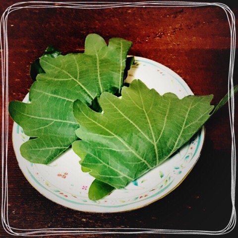 f:id:workingmother:20170505195001j:plain