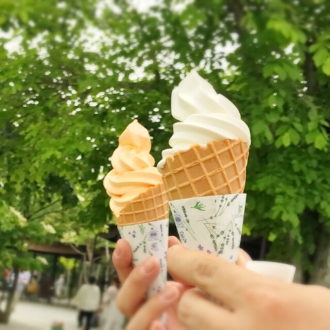 f:id:workingmother:20170817224809j:plain f:id:workingmother:20170817224809j:plain