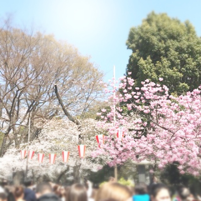 f:id:workingmother:20180328192444j:plain