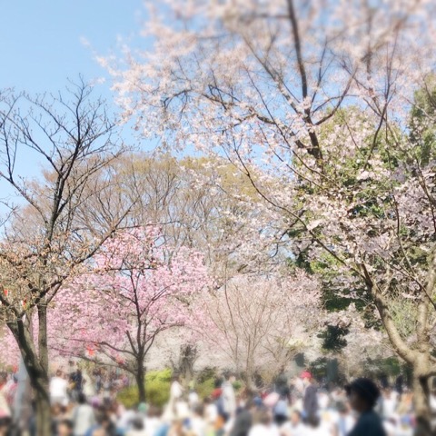 f:id:workingmother:20180328192638j:plain
