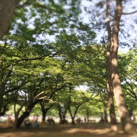 f:id:workingmother:20180509214456j:plain