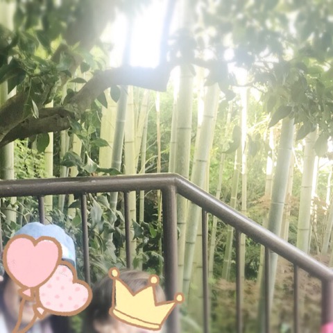 f:id:workingmother:20180527202643j:plain