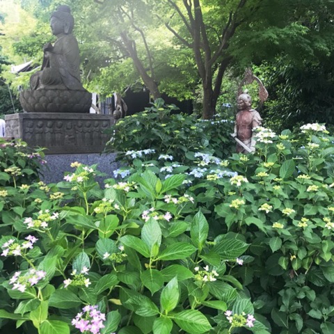 f:id:workingmother:20180527202722j:plain