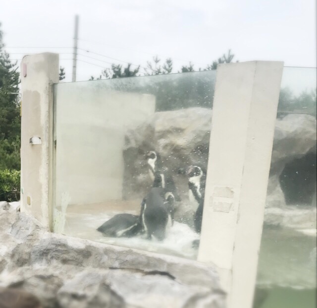 f:id:workingmother:20180901233230j:plain