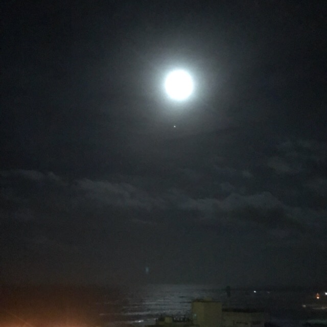 f:id:workingmother:20180901233504j:plain