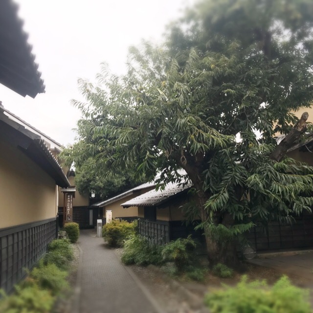 f:id:workingmother:20181007003828j:plain f:id:workingmother:20181007003828j:plain