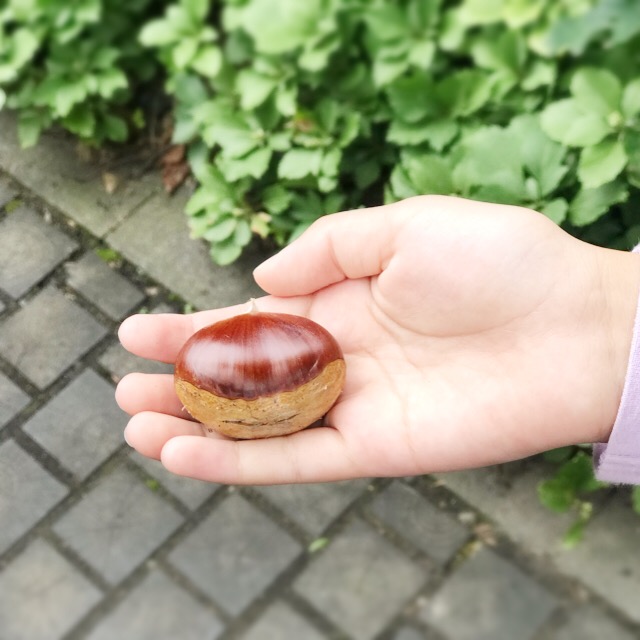 f:id:workingmother:20181007003957j:plain f:id:workingmother:20181007003957j:plain