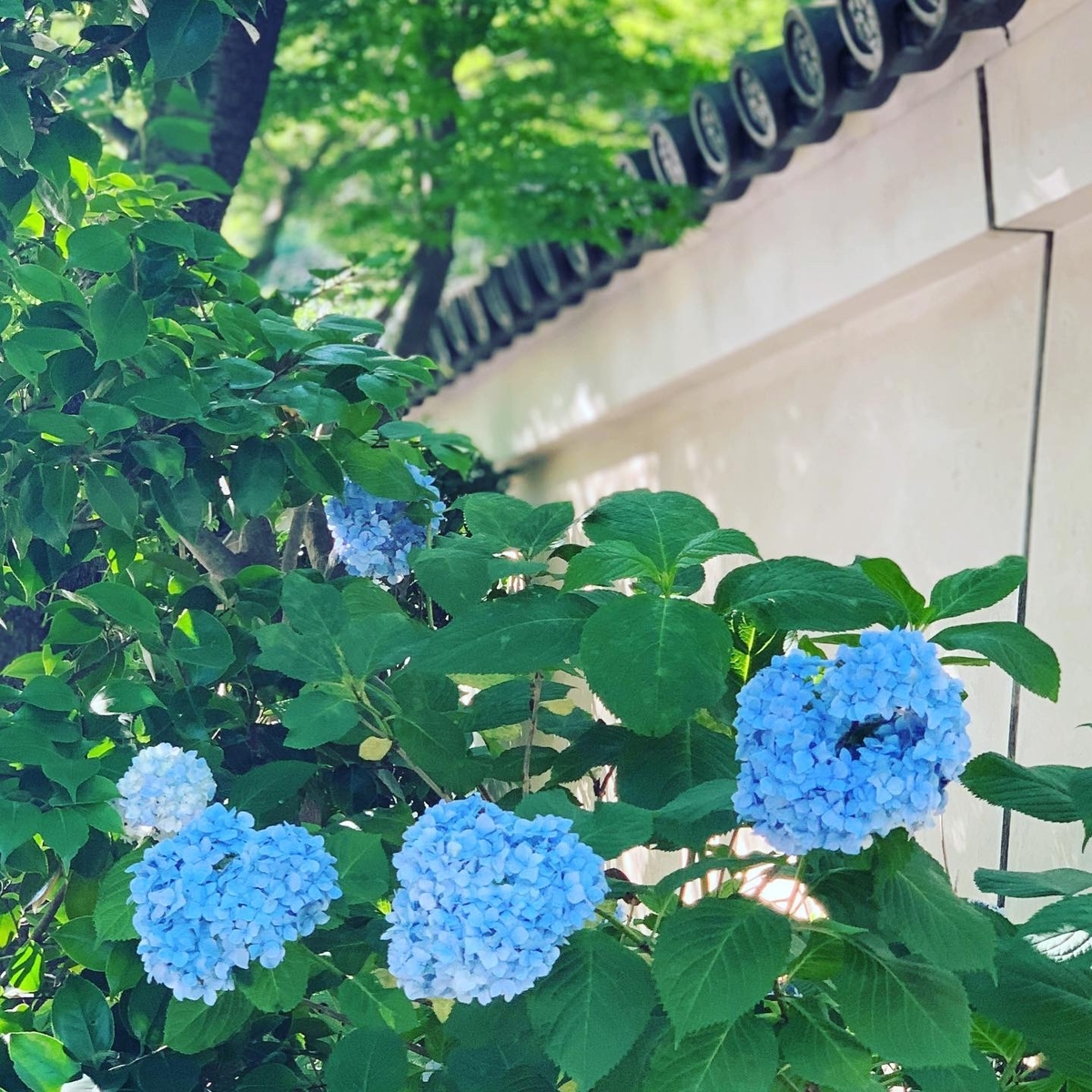 f:id:workingmother:20190711220320j:plain