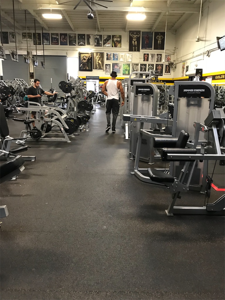 f:id:workout-rise-you:20190119125523j:image f:id:workout-rise-you:20190119125523j:image