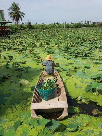 f:id:workoutbkk:20180409154007j:plain