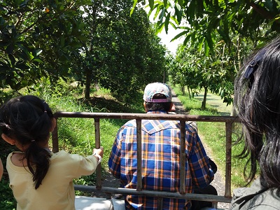 f:id:workoutbkk:20180409154329j:plain