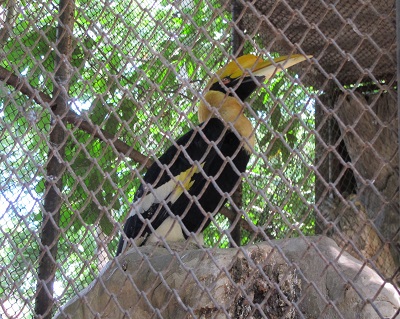 f:id:workoutbkk:20190916141602j:plain