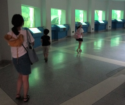 f:id:workoutbkk:20190916141657j:plain