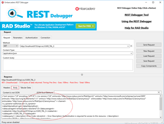 042_rest_debugger.png