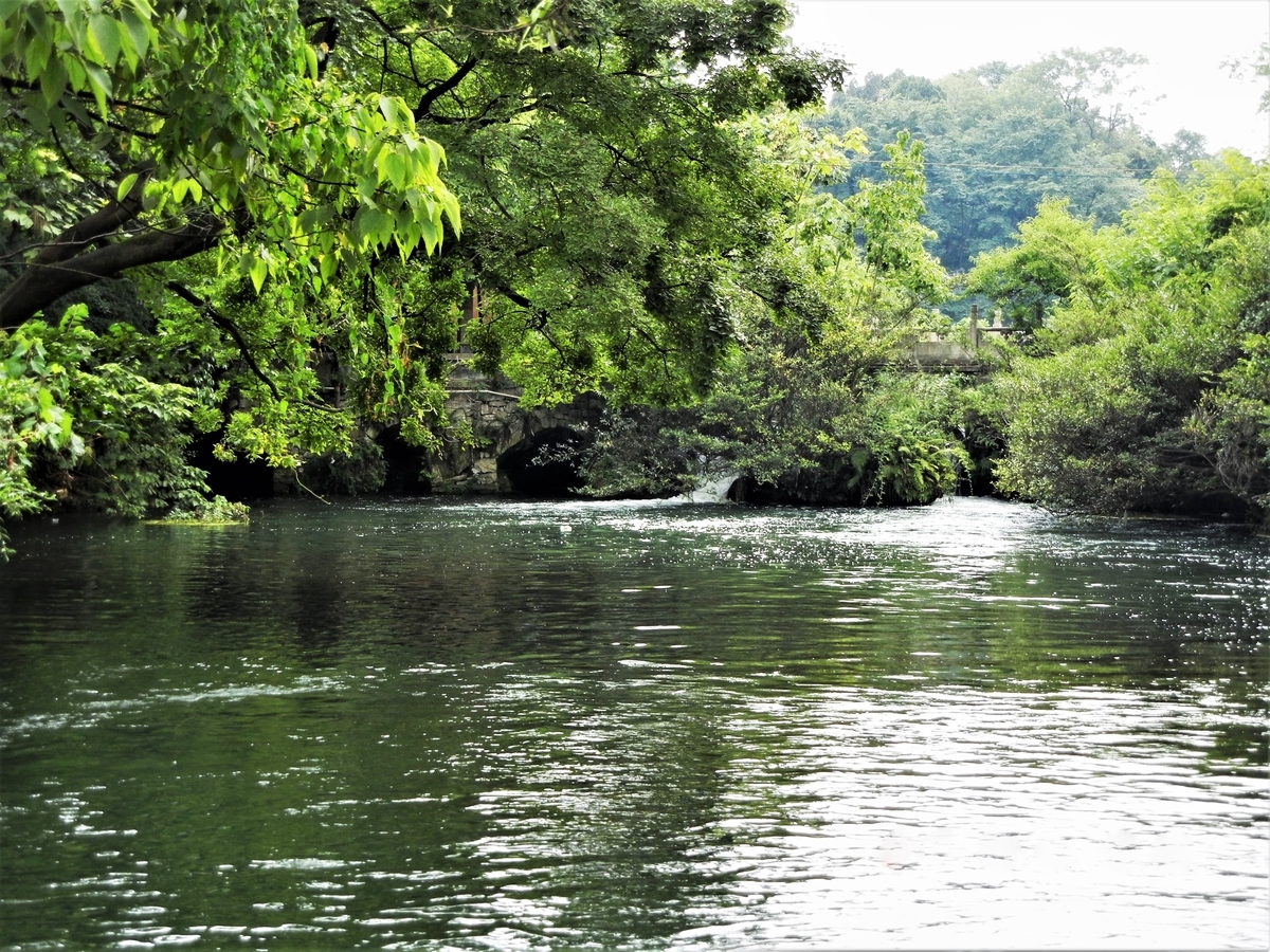 f:id:world-roamer:20200727160318j:plain