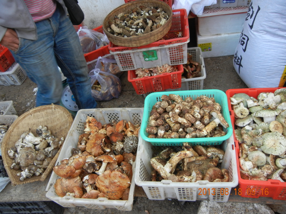 f:id:world-roamer:20200921130039j:plain