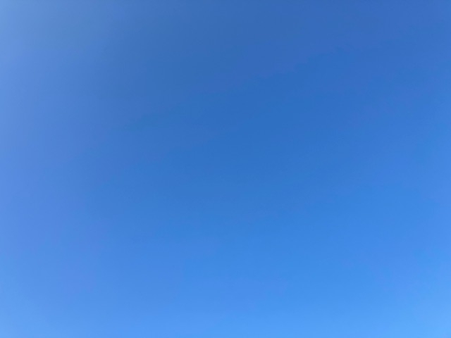 20250504134502