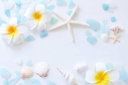 f:id:worldshop_09:20190618150417j:plain f:id:worldshop_09:20190618150417j:plain