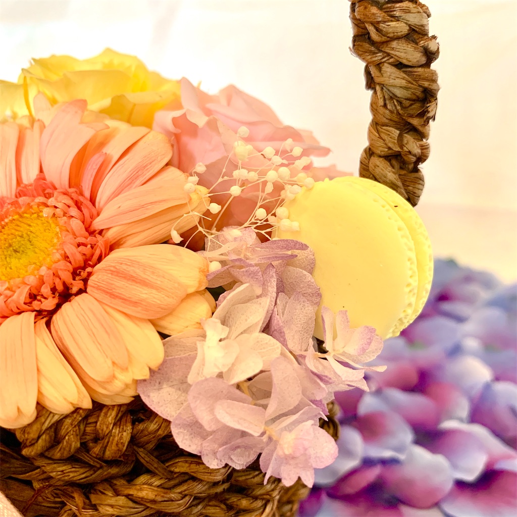 f:id:worldshop_09:20200212123520j:image