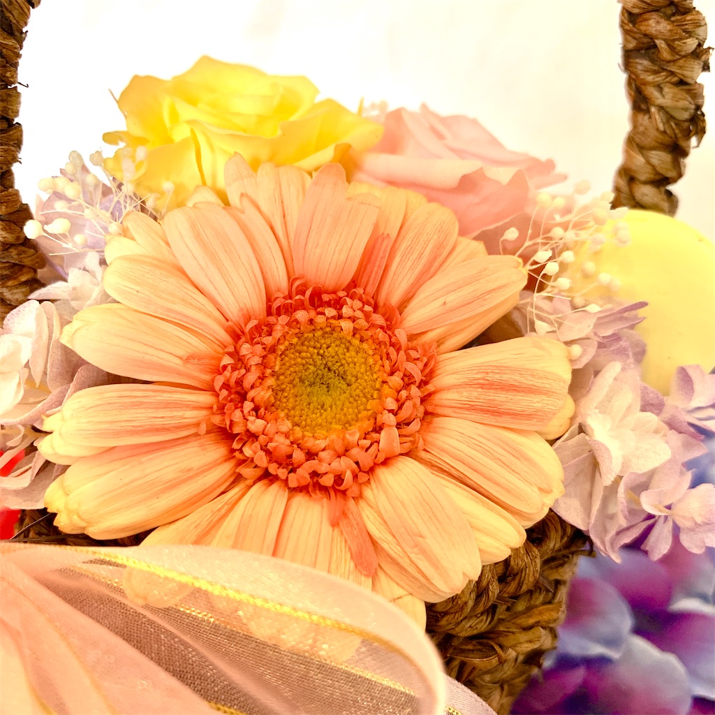 f:id:worldshop_09:20200212123523j:image