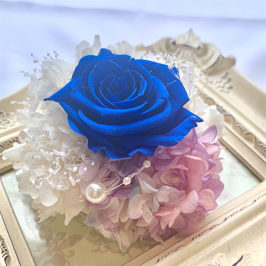 f:id:worldshop_09:20200213172504j:image