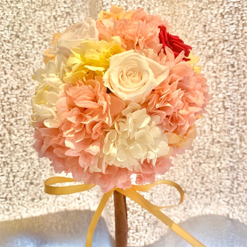 f:id:worldshop_09:20200214134752j:image f:id:worldshop_09:20200214134752j:image