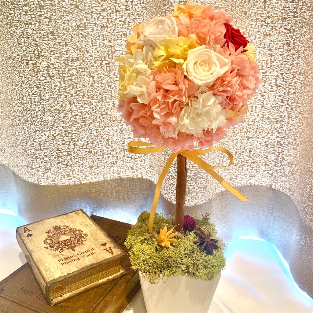 f:id:worldshop_09:20200214134757j:image f:id:worldshop_09:20200214134757j:image