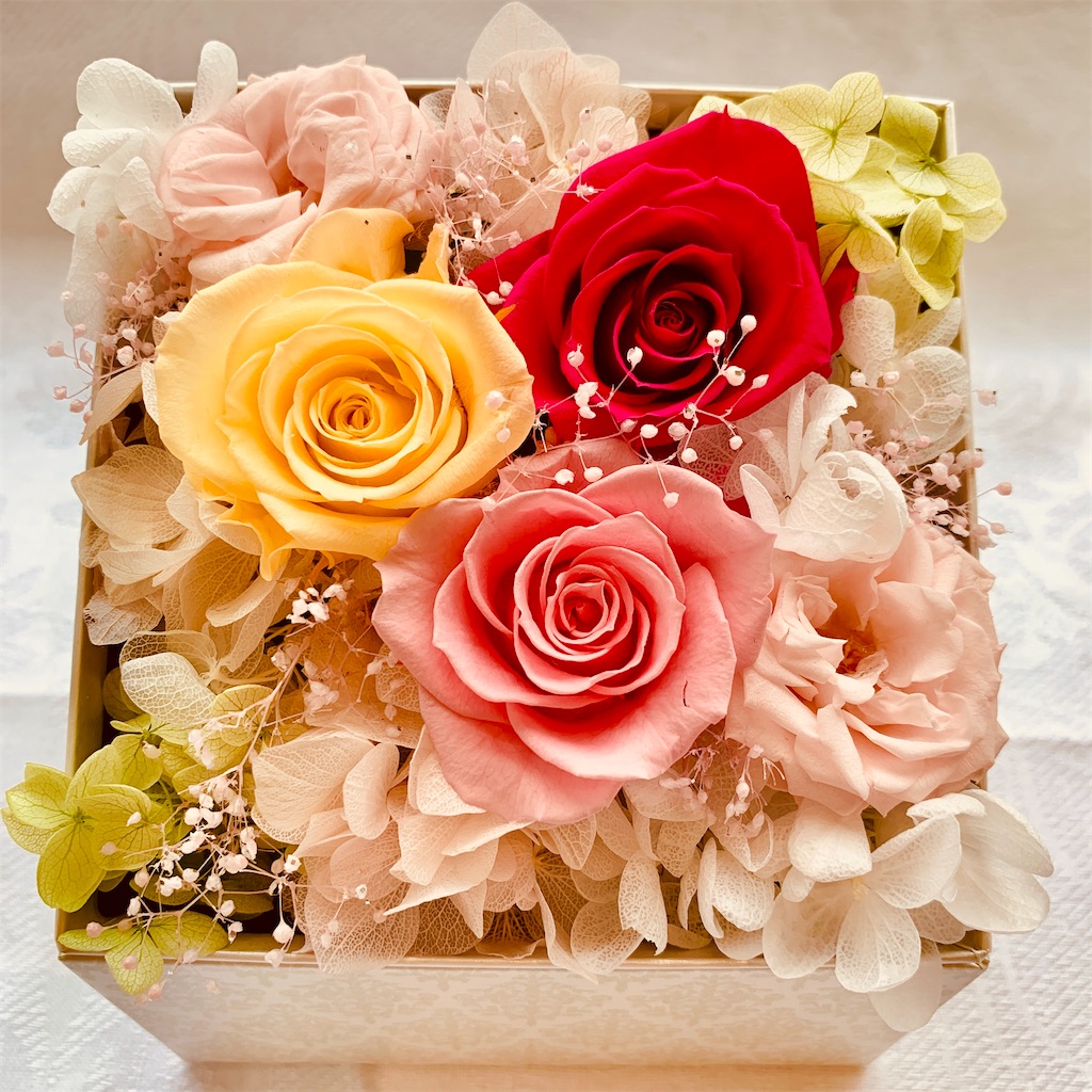 f:id:worldshop_09:20200218134023j:image