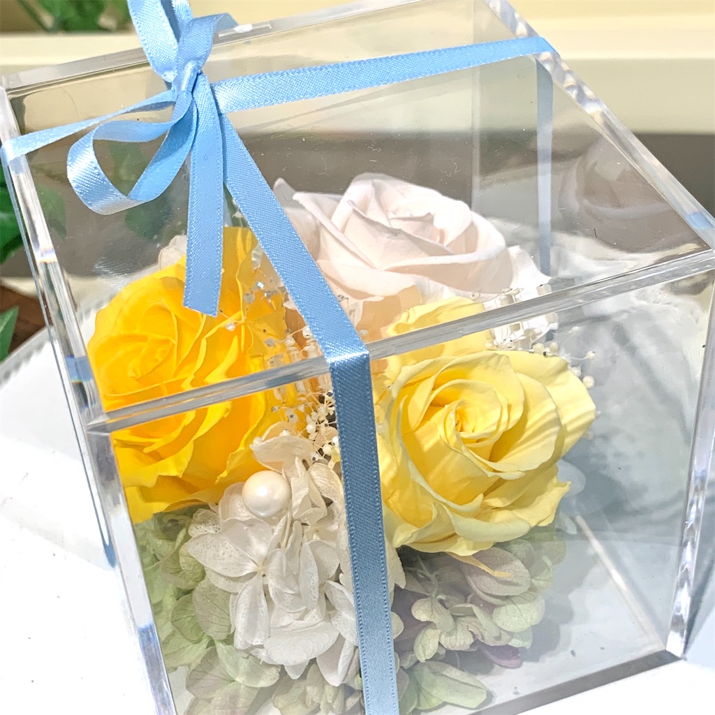 f:id:worldshop_09:20200317141910j:image f:id:worldshop_09:20200317141910j:image