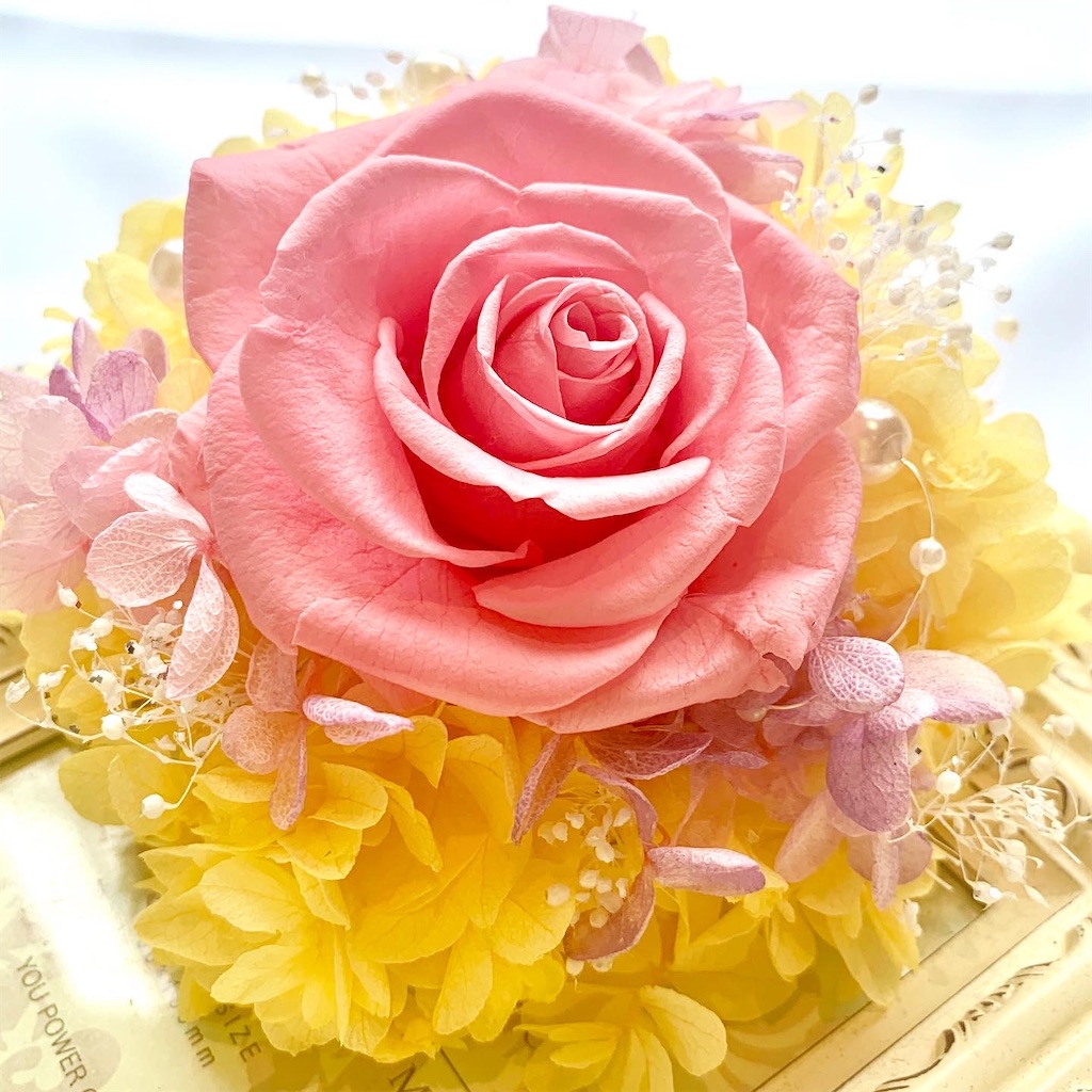 f:id:worldshop_09:20200323154159j:image