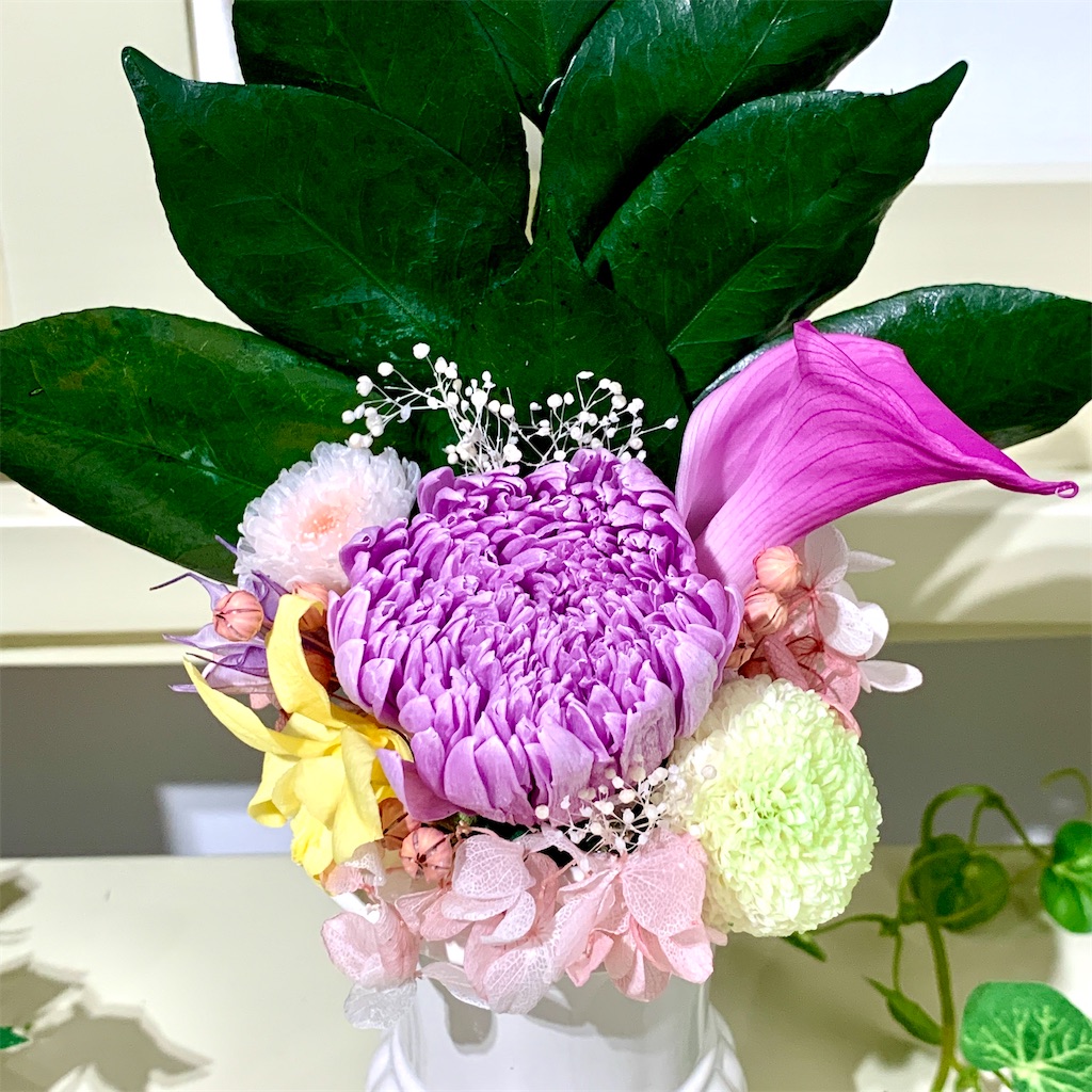 f:id:worldshop_09:20200428155612j:image f:id:worldshop_09:20200428155612j:image