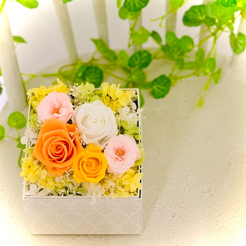 f:id:worldshop_09:20200829095649j:image f:id:worldshop_09:20200829095649j:image