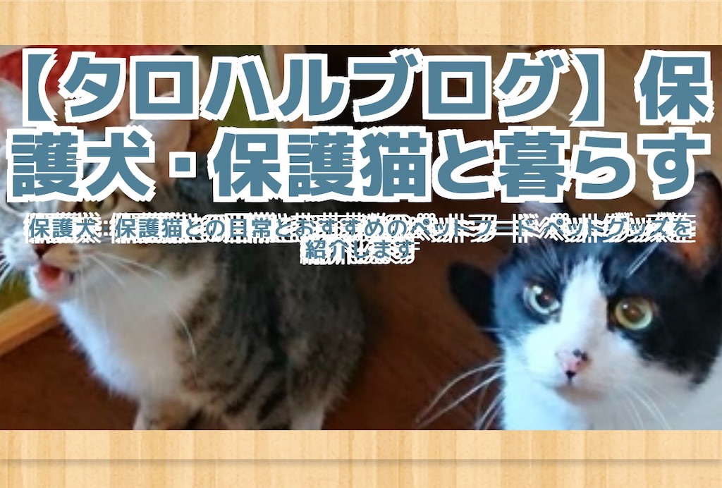 f:id:worldtrip216:20200829201905j:image f:id:worldtrip216:20200829201905j:image