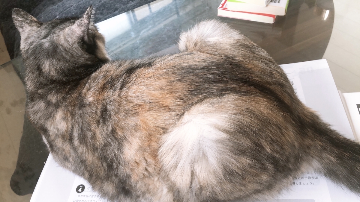 f:id:worldtrip216:20200910161447j:plain