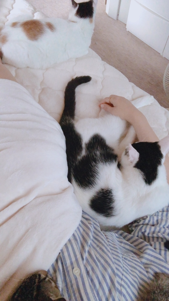 f:id:worldtrip216:20200919165609j:plain