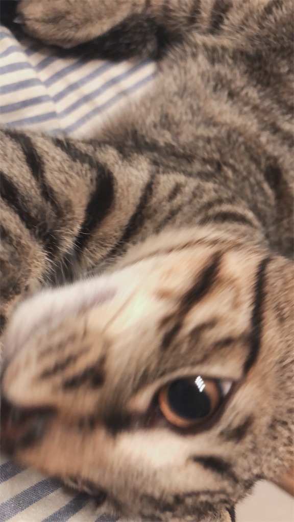 f:id:worldtrip216:20200922190057j:image