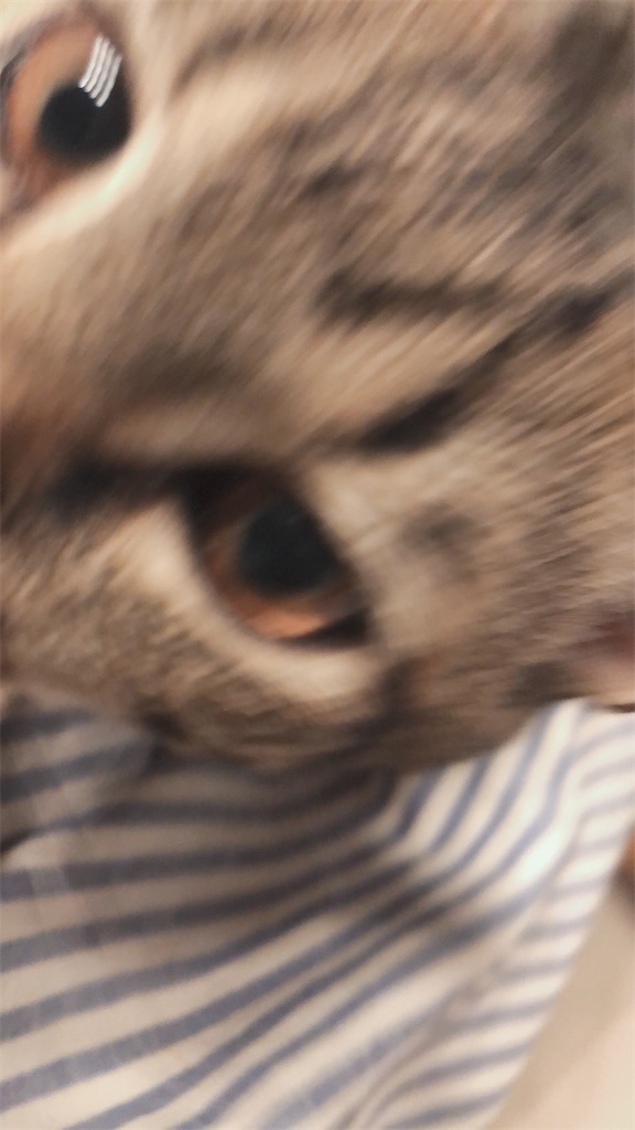 f:id:worldtrip216:20200922190100j:image
