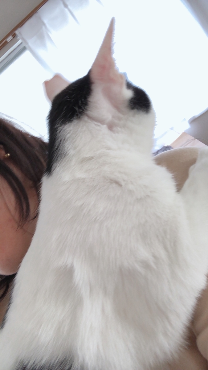 f:id:worldtrip216:20200930194009j:plain