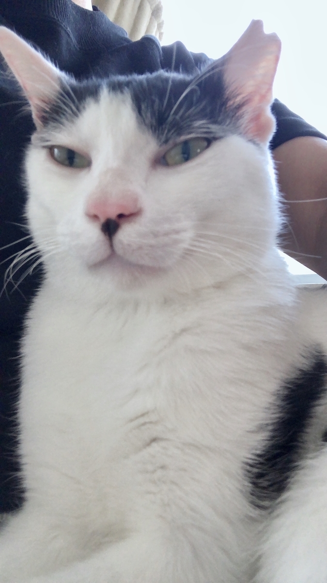 f:id:worldtrip216:20201003123302j:plain