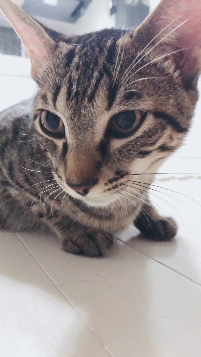 f:id:worldtrip216:20201005201940j:plain f:id:worldtrip216:20201005201940j:plain