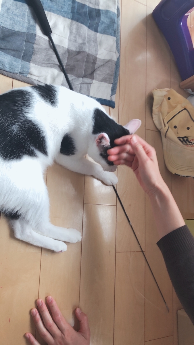 f:id:worldtrip216:20201006172907j:plain