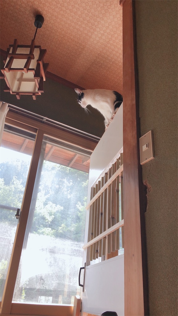 f:id:worldtrip216:20201012190816j:image f:id:worldtrip216:20201012190816j:image