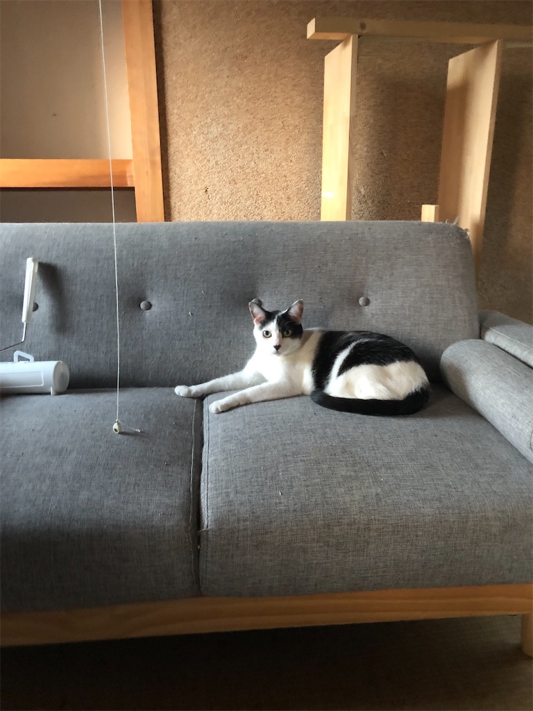 f:id:worldtrip216:20201013203923j:image
