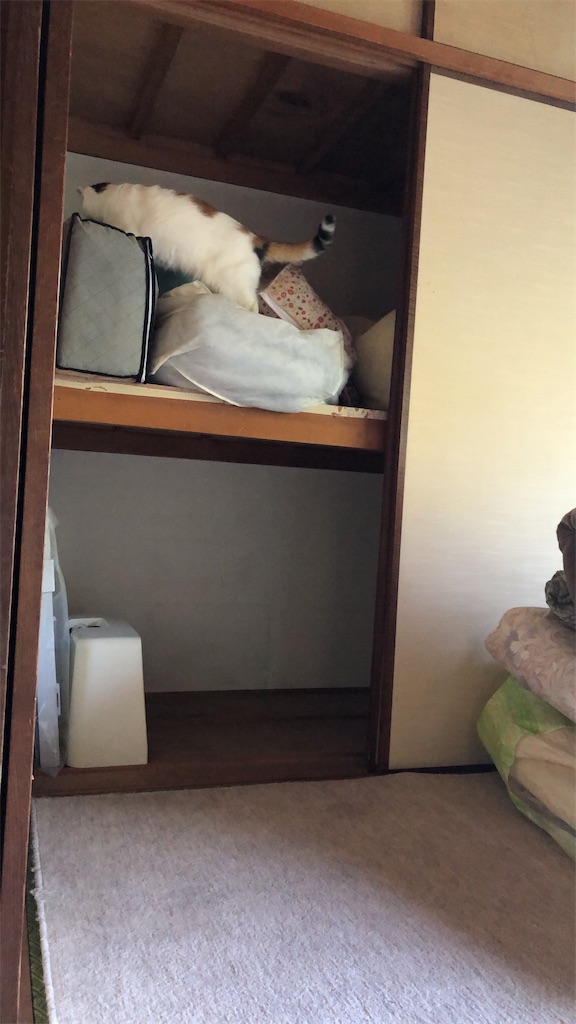 f:id:worldtrip216:20201014190425j:image