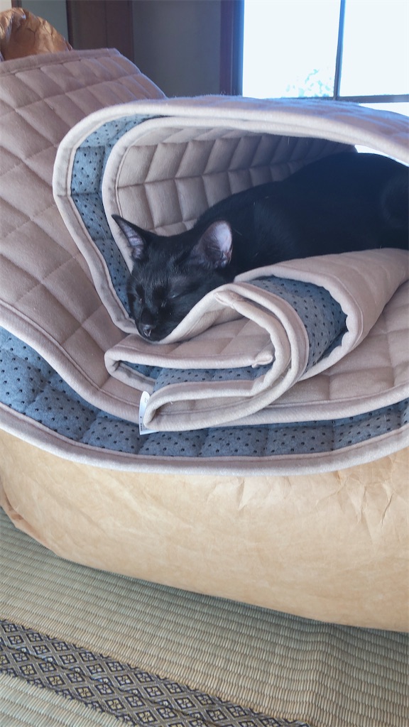 f:id:worldtrip216:20201014190442j:image